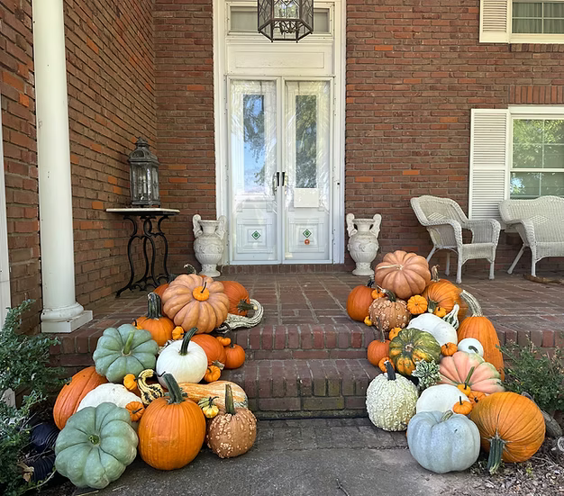 2. The Classic Harvest