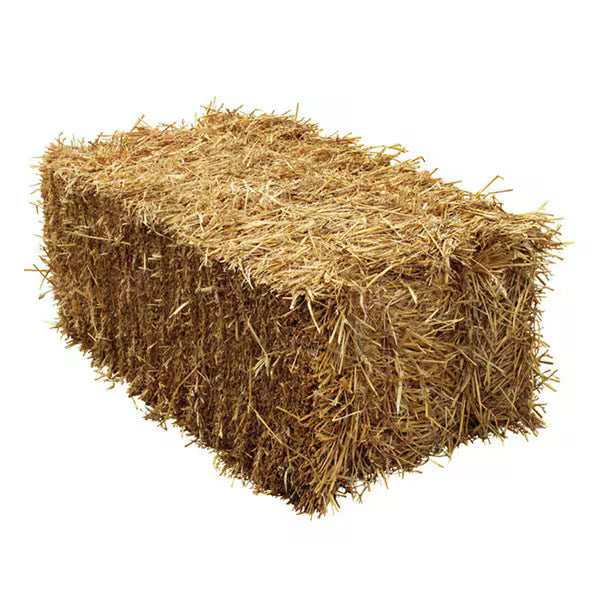 Extra Hay Bale (ADD-ON ONLY)