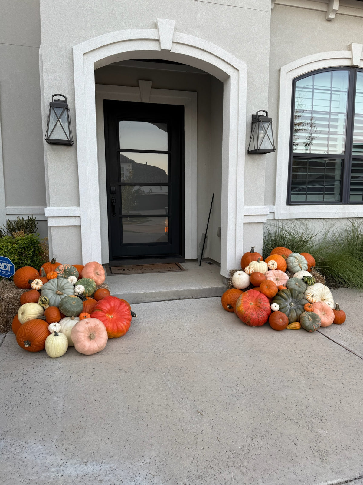 2. The Classic Harvest