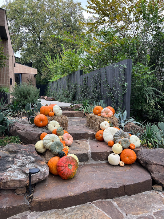 2. The Classic Harvest