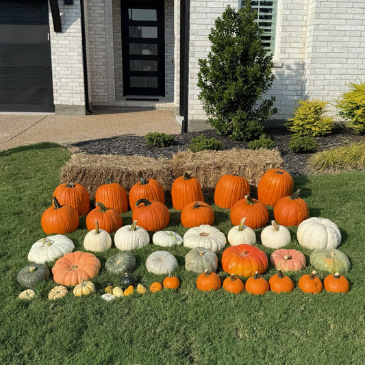 2. The Classic Harvest