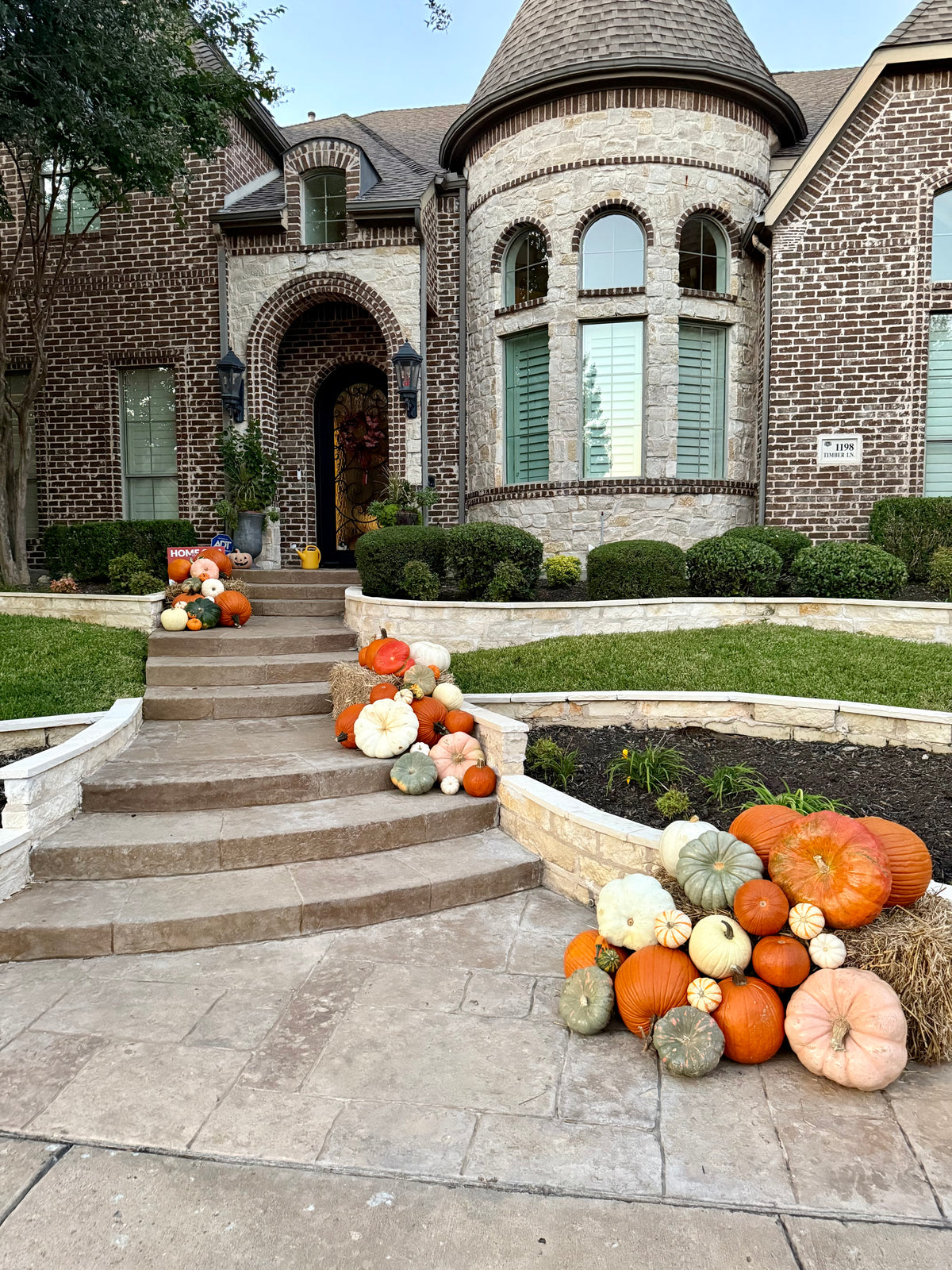 2. The Classic Harvest