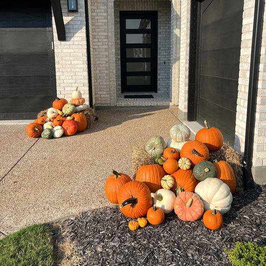 2. The Classic Harvest